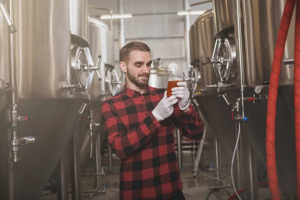 Knappe Professionele Brouwer Die Vers Gebrouwen Bier Onderzoekt Een Glas — Stockfoto