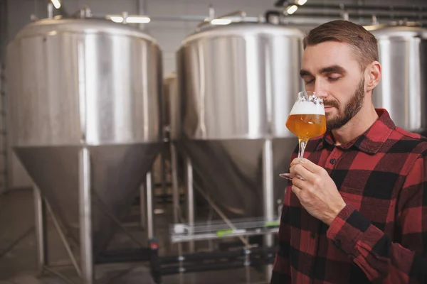 Aantrekkelijke Mannelijke Brouwer Die Aromatisch Vers Gebrouwen Bier Ruikt Microbrouwerij — Stockfoto