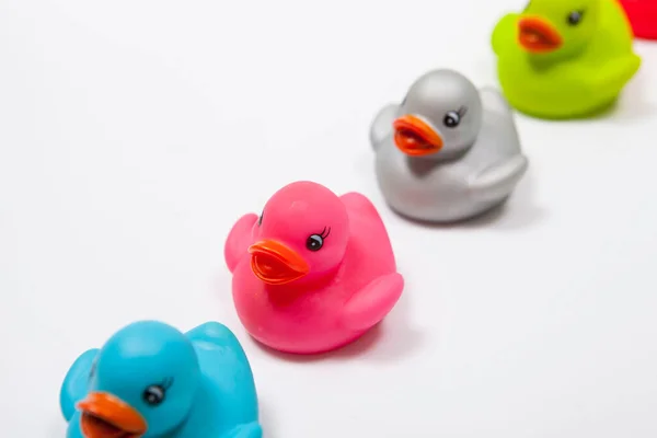 Close up of cute multicolored rubber ducks on white background