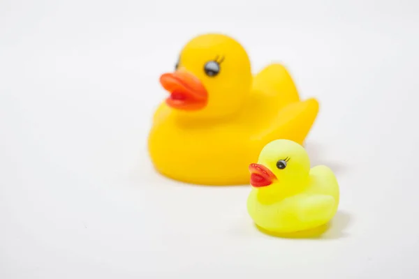 Yellow Rubber Ducks Family Isolated White Copy Space — Stock Photo, Image