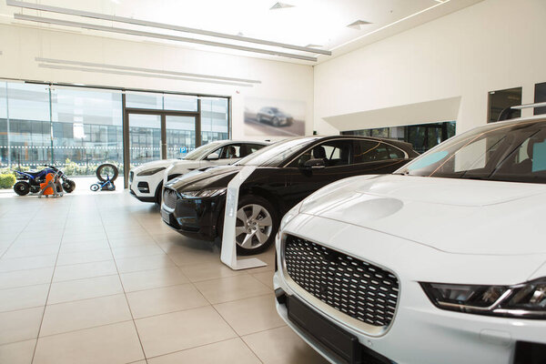 New cars at auto dealership for sale, copy space