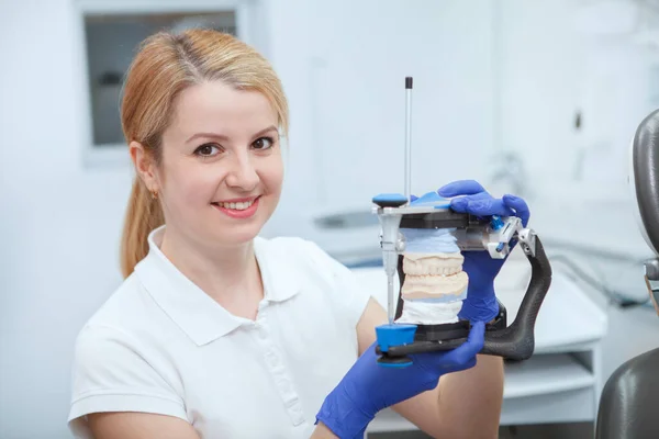 Glada Kvinnliga Tandläkare Ler Håller Dentala Käken Mögel — Stockfoto