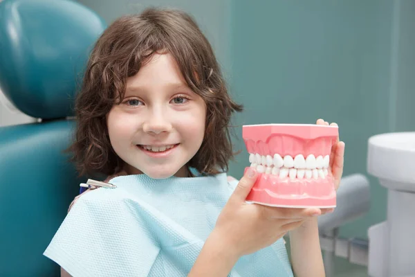 Zbliżenie Uroczego Chłopca Uśmiechniętego Aparatu Trzymającego Model Dentystyczny Siedzącego Gabinecie — Zdjęcie stockowe