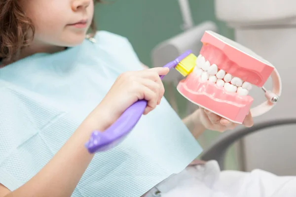 Przycięte Ujęcie Nierozpoznawalnego Chłopca Uczącego Się Mycia Zębów Modelu Szczęki — Zdjęcie stockowe