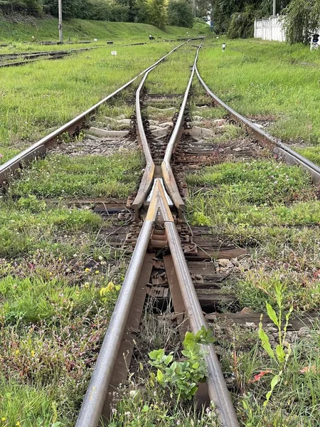 Old Metal Railroad Tracks Junction Green Grass — Stock Photo, Image