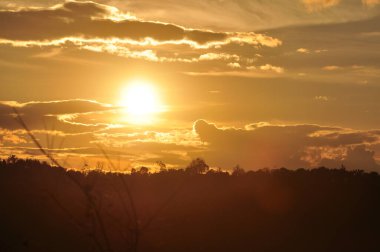 Yoğun bir orman bölgesinin ardında batan bir güneşin resmi. Ardından dağlar..