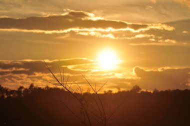 Güneş sık bir ormanın arkasında batıyor ve ardından dağlar geliyor..