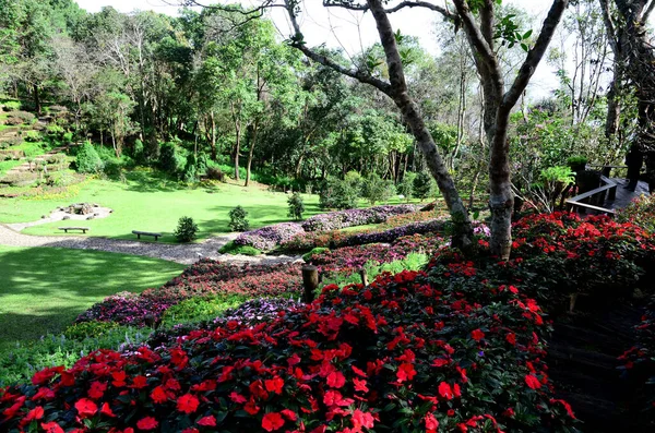 Hermosa Vista Del Parque Tailandia — Foto de Stock