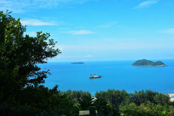 森の近くの海の美しい景色 — ストック写真