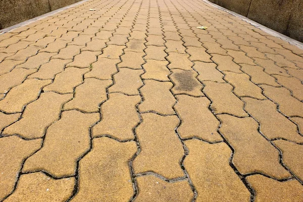 チョンブリ島の仏教寺院 — ストック写真