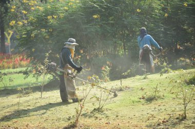 Erkek ve kadın bahçede çim biçiyor. 
