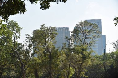 view of the green park in modern city