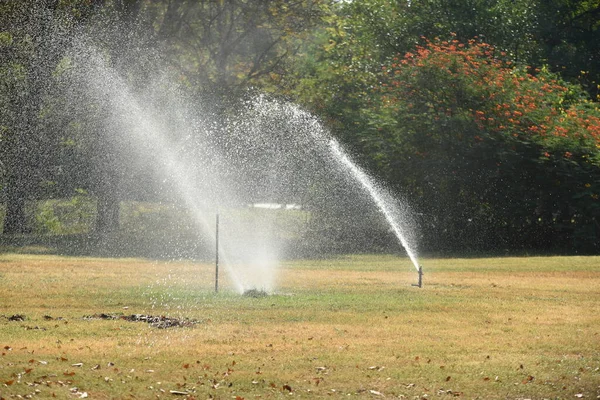 Riego Con Gotas Agua Jardín —  Fotos de Stock