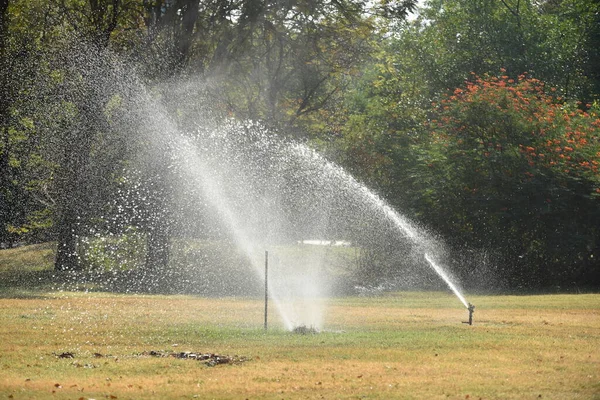 用水滴浇灌园圃 — 图库照片