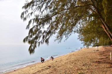 Deniz kıyısında dinlenen insanlar