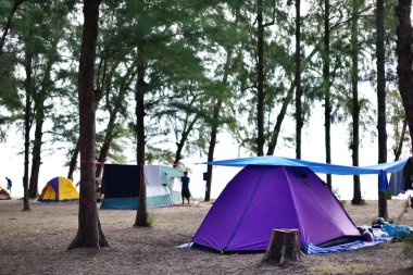 Ormanda çadırları olan dinlenme yeri