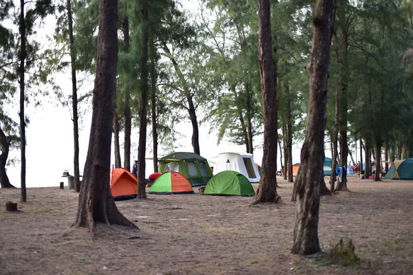 Resting Place Tents Forest — Foto de Stock