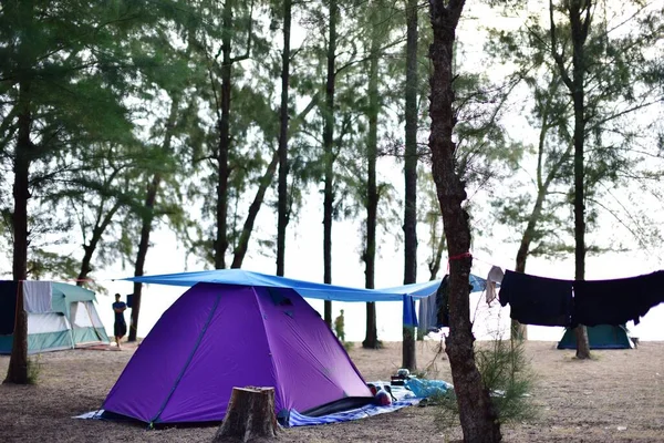 Resting place with tents in forest