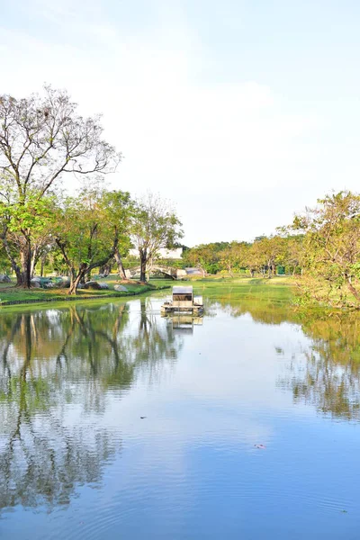 Fiori Colorati Natura Fiori Giardino Fioritura Nel Parco Suan Luang — Foto Stock