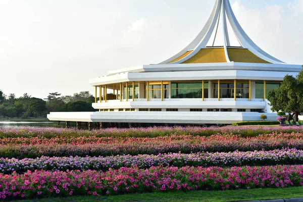 Colorful Flowers Nature Flowers Garden Flower Blooming Suan Luang Rama — стоковое фото