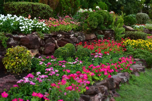 Mooie Tuin Met Bloemen Het Park — Stockfoto