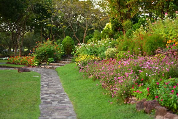 Krásná Zahrada Květinami Rostlinami — Stock fotografie