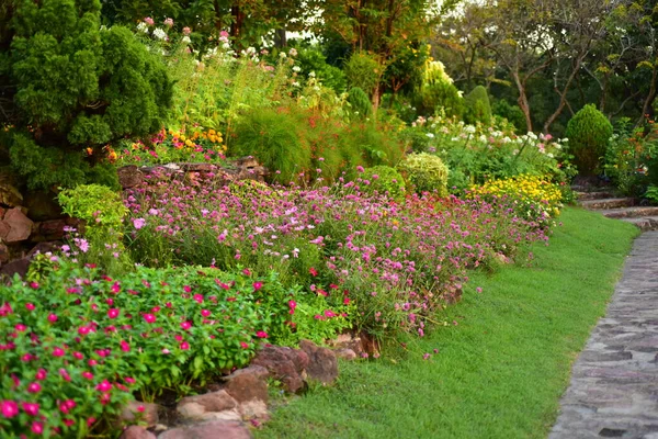 Mooie Tuin Met Bloemen Het Park — Stockfoto