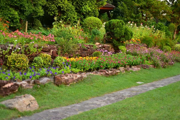 Mooie Tuin Met Bloemen Planten — Stockfoto