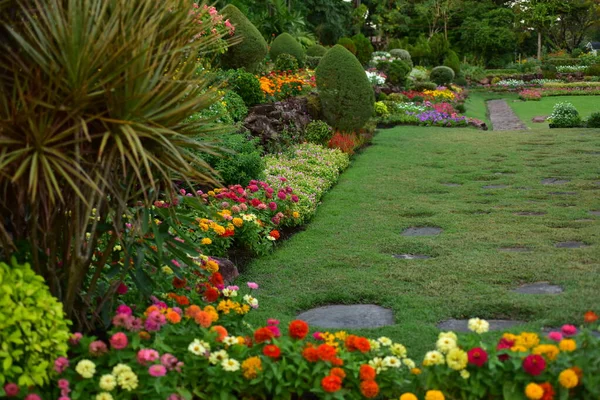 Beau Jardin Avec Des Fleurs Dans Parc — Photo