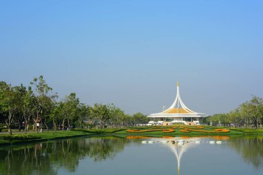Rengarenk çiçekler. Bahçede çiçekler. Suan Luang Rama IX 'de açan çiçekler.