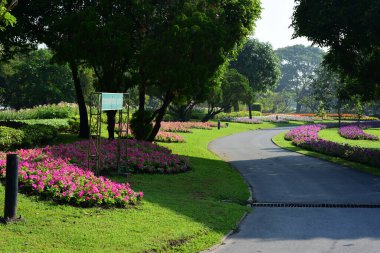 Bahçede büyüyen renkli çiçeklerin manzarası