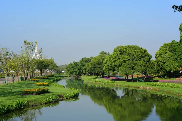 Kolorowe Kwiaty Nature Flowers Ogrodzie Kwiat Kwitnienia Suan Luang Rama — Zdjęcie stockowe