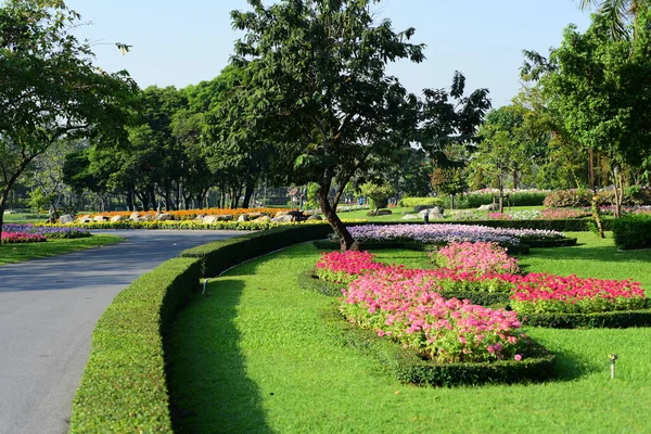 Flori Colorate Natură Flori Grădină Flori Înflorind Suan Luang Rama — Fotografie, imagine de stoc