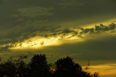 Orman boyunca gün batımı ve çimenler ve tarlalarda altın sarısı gökyüzü