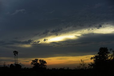 Orman boyunca gün batımı ve çimenler ve tarlalarda altın sarısı gökyüzü