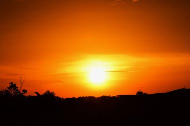 Orman boyunca gün batımı ve çimenler ve tarlalarda altın sarısı gökyüzü