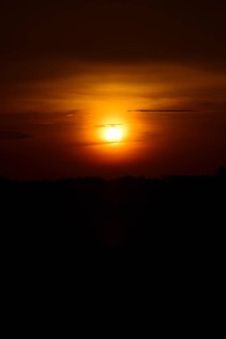 Orman boyunca gün batımı ve çimenler ve tarlalarda altın sarısı gökyüzü