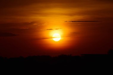 Orman boyunca gün batımı ve çimenler ve tarlalarda altın sarısı gökyüzü