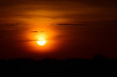 Orman boyunca gün batımı ve çimenler ve tarlalarda altın sarısı gökyüzü