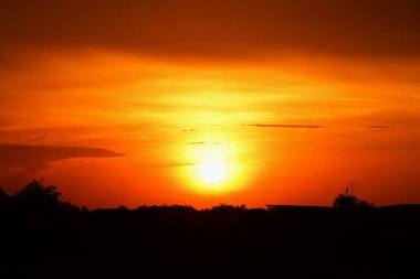 Orman boyunca gün batımı ve çimenler ve tarlalarda altın sarısı gökyüzü