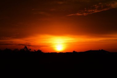 Orman boyunca gün batımı ve çimenler ve tarlalarda altın sarısı gökyüzü