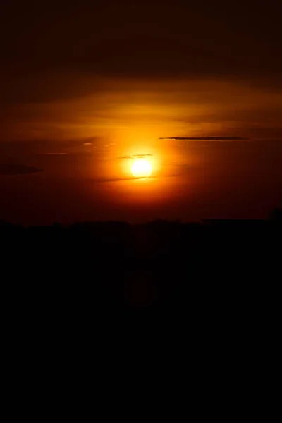 Solnedgång Och Gräs Längs Skogen Och Gyllene Gul Himmel Fälten — Stockfoto