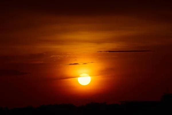 Puesta Sol Hierba Largo Del Bosque Cielo Amarillo Dorado Los —  Fotos de Stock