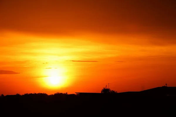 野原の森と黄金色の空に沿った日没と草 — ストック写真