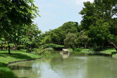 Bahar Balosu Bahçesi. Renkli çiçeklerden oluşan güzel bir bahçe. Bahçe düzenlemeleri. Park et. Güzel Bahçe