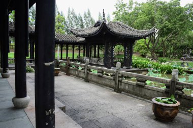 Bahar Balosu Bahçesi. Renkli çiçeklerden oluşan güzel bir bahçe. Bahçe düzenlemeleri. Park et. Güzel Bahçe