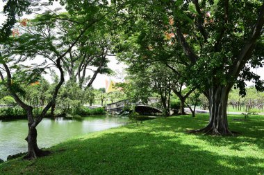 Bahar Balosu Bahçesi. Renkli çiçeklerden oluşan güzel bir bahçe. Bahçe düzenlemeleri. Park et. Güzel Bahçe