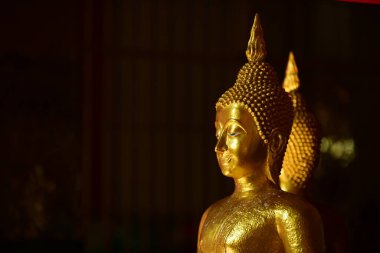 Altın Buda heykeli Wat Po, Bangkok, Tayland 'da