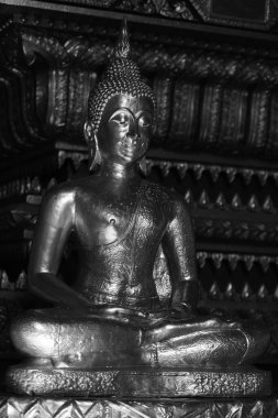 Buda heykeli Wat Po, Bangkok, Tayland 'da