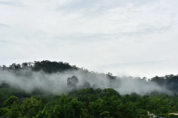 Beautiful Tropical Mountain Forest Thailand — Stock Photo, Image